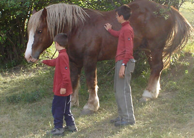 Cavalls pasturant per Espot